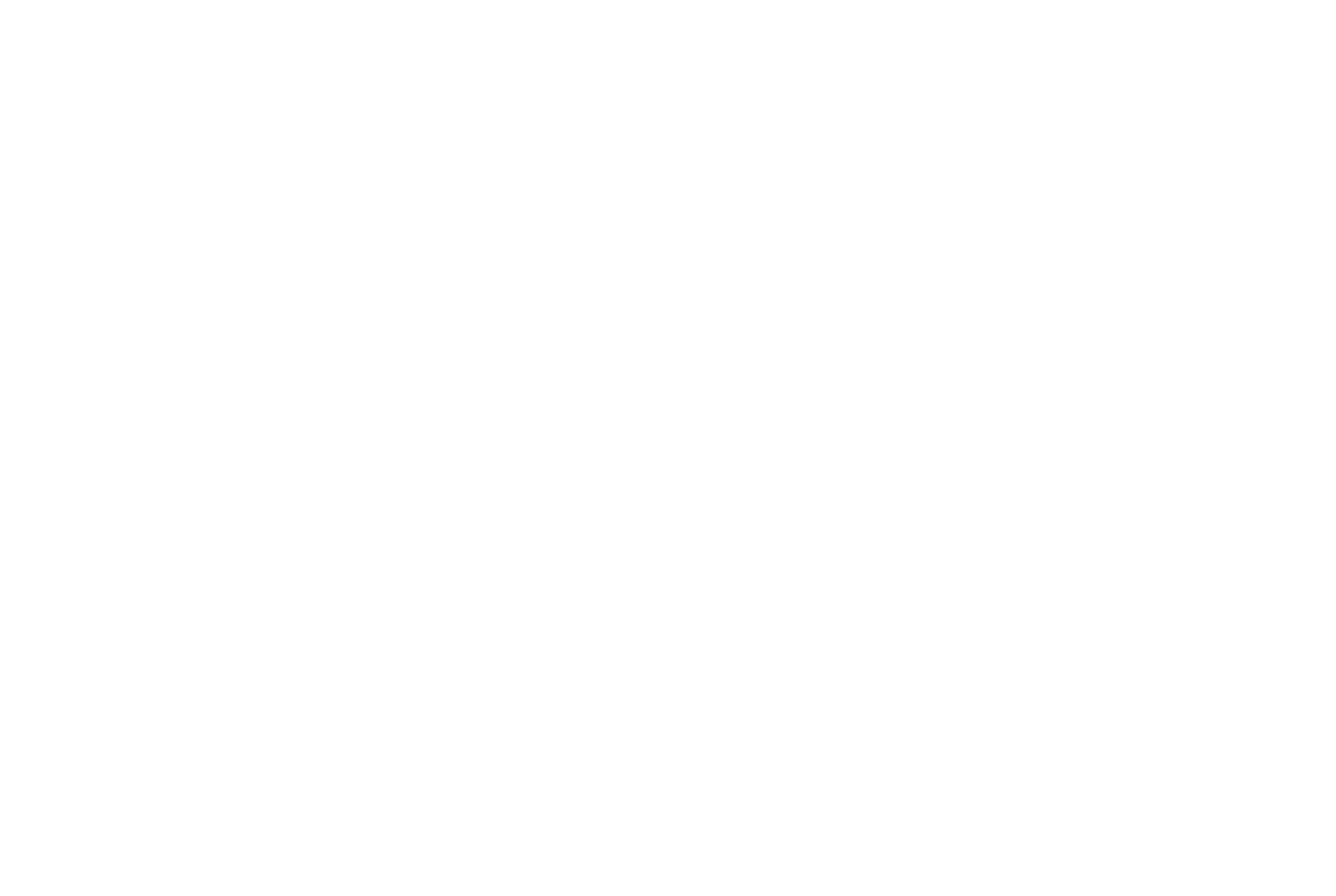 Danæg Group PNG negativ